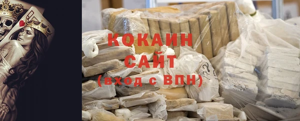 крисы Мегион