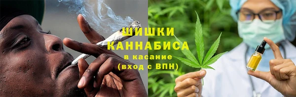 spice Медногорск