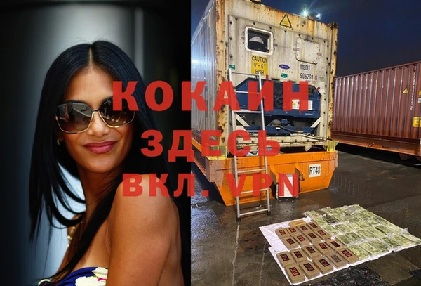 крисы Мегион
