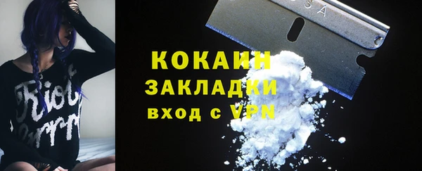 крисы Мегион
