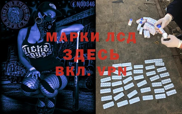 крисы Мегион