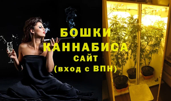 крисы Мегион