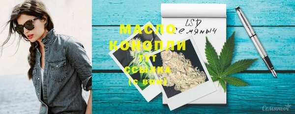крисы Мегион