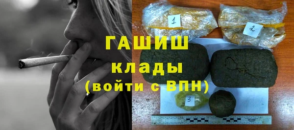 крисы Мегион