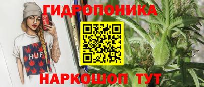 ПСИЛОЦИБИНОВЫЕ ГРИБЫ Аргун
