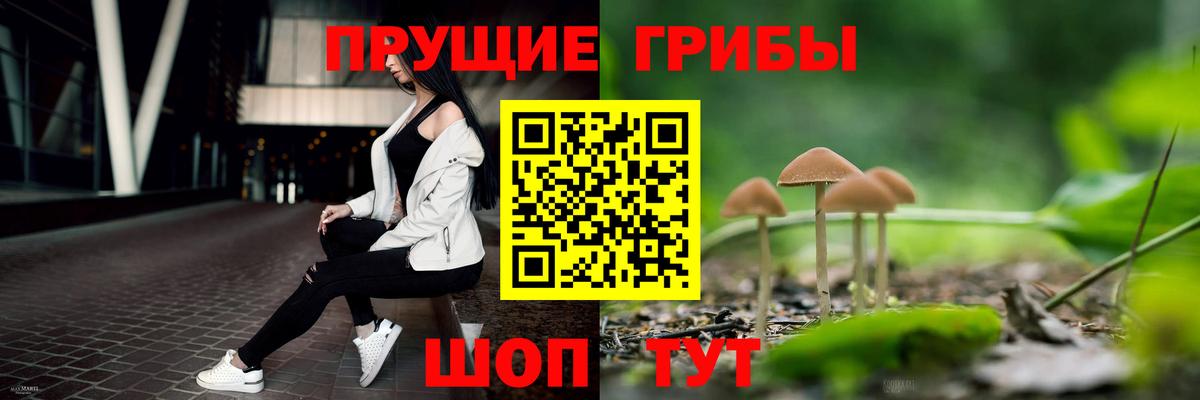 Томск  Псилоцибиновые грибы GOLDEN TEACHER  Вход с VPN 